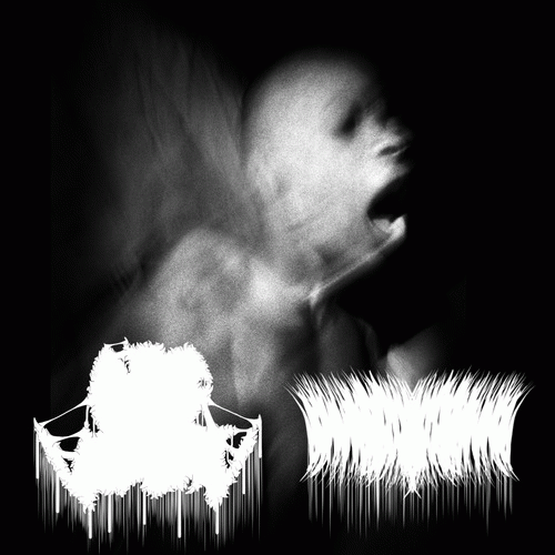 Angelic Assblast : Angelic Assblast - Hemoglobular Endoplasmic Phlebotomotomical Disengorgement